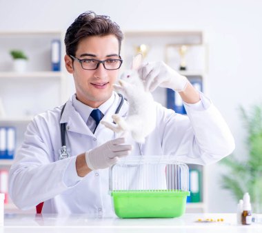 Hayvan hastanesinde tavşanı muayene eden veteriner.