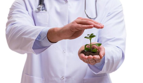 Ученый с зелеными саженцами в стекле изолирован на белом