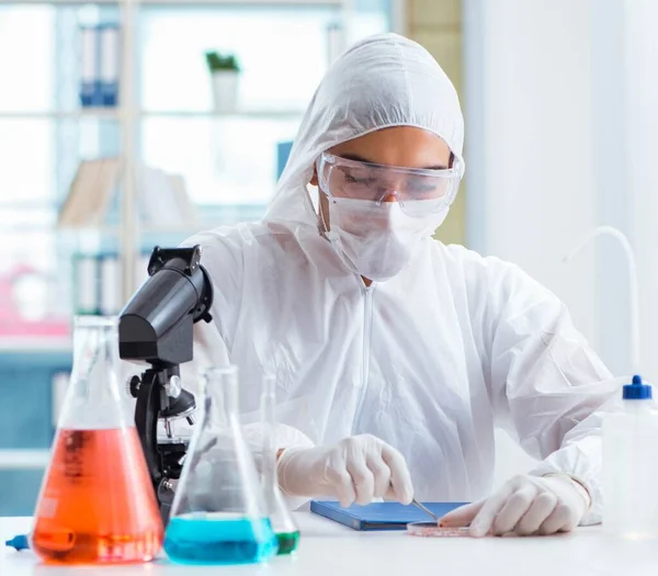 Chemist working in the lab — Stock Photo, Image