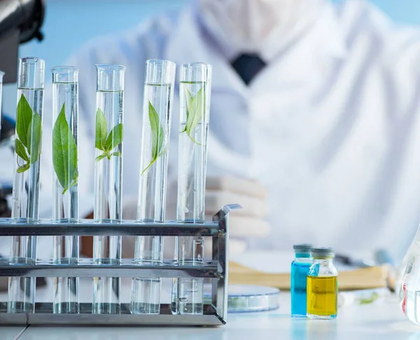 Conceito de biotecnologia com cientista em laboratório — Fotografia de Stock