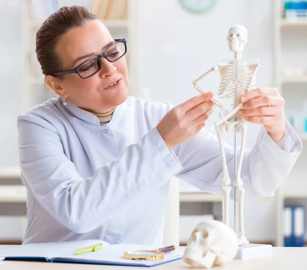 Ärztin untersucht menschliches Skelett — Stockfoto