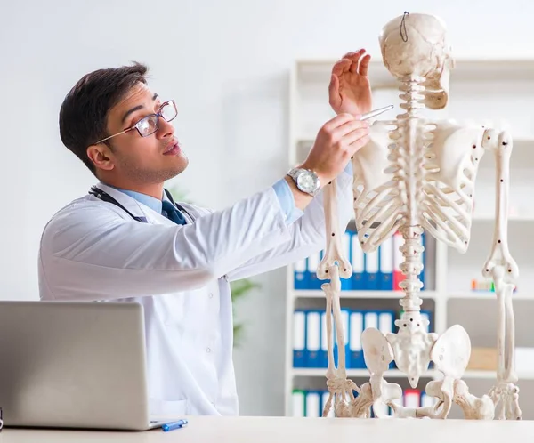 İskeleti beyaz olan Yong erkek doktoru.