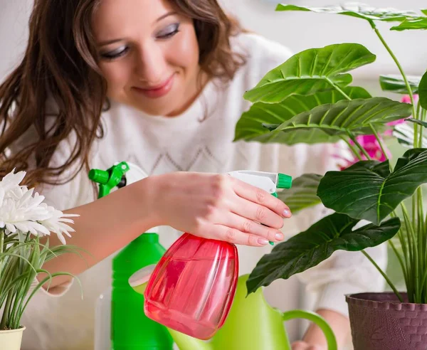 Jonge vrouw op zoek naar planten thuis — Stockfoto