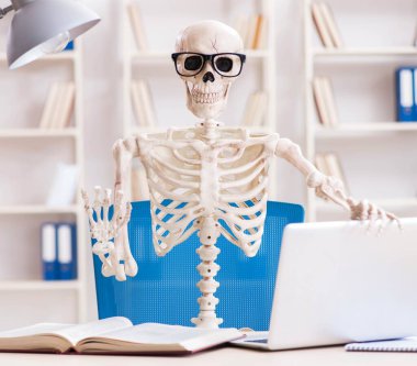 Öğrenci iskeleti sınavlara hazırlanıyor