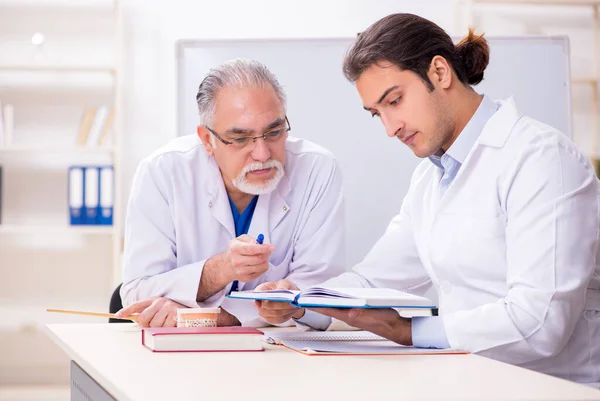 Médecin dentiste expérimenté enseignant jeune assistant masculin — Photo