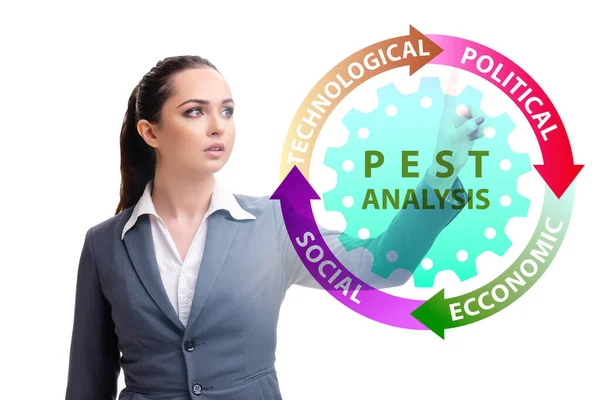 Business people in PEST analisi business concept — Foto Stock
