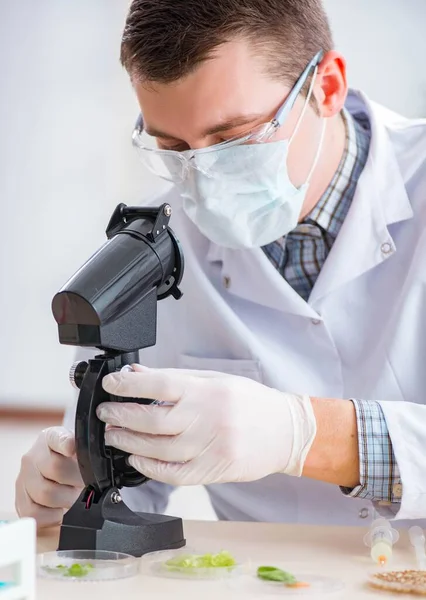 Männlicher Biochemiker arbeitet im Labor an Pflanzen — Stockfoto