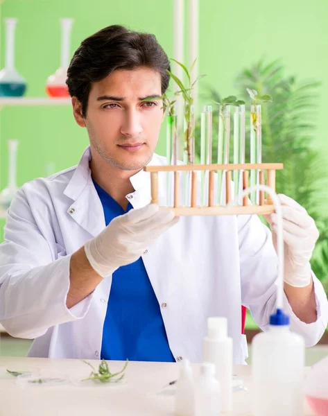 Jovem cientista biotecnológico químico que trabalha em laboratório — Fotografia de Stock