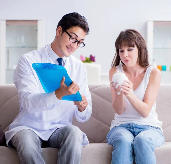 Femme avec animal de compagnie lapin médecin vétérinaire visiteur — Photo