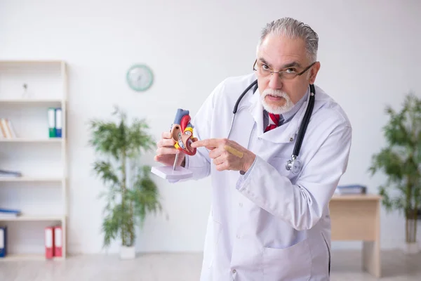 Klinikte çalışan yaşlı bir erkek kardiyolog. — Stok fotoğraf