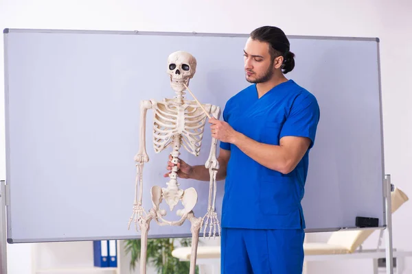 Ung manlig föreläsare med skelett framför whiteboard — Stockfoto