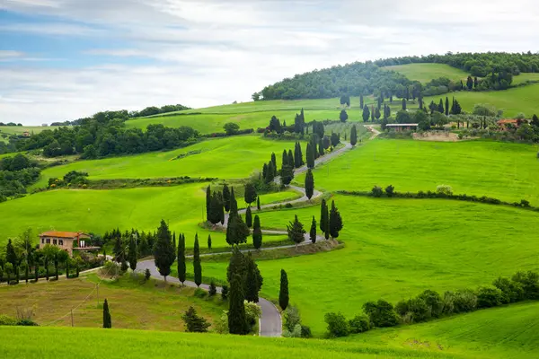 Beautiful landscape of Tuscany with the twisting road and cypresses