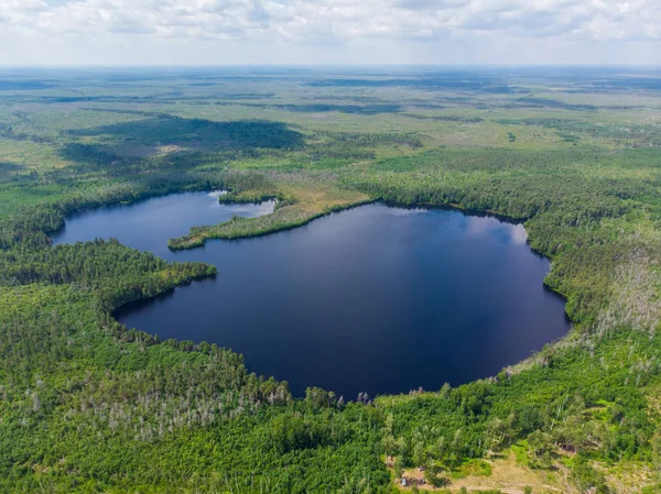 Large round forest lake, aerial view, aerial view