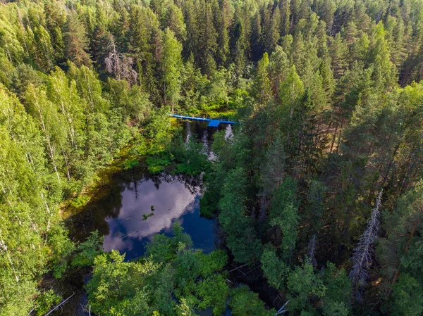 Beautiful forest lake, aerial view, aerial view