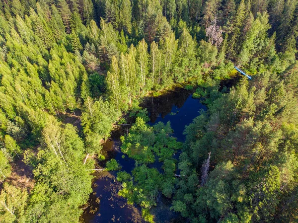 Beautiful forest lake, aerial view, aerial view