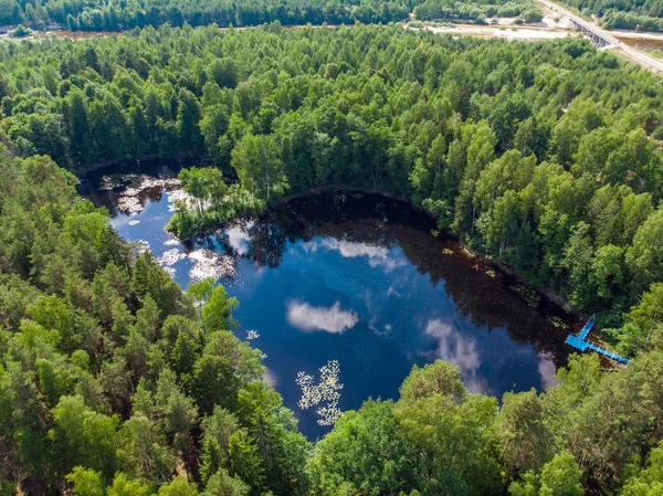 Beautiful forest lake, aerial view, aerial view