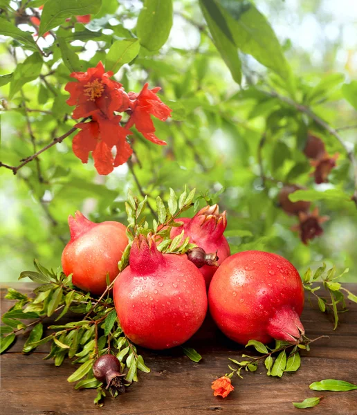 Ripe Pomegranates Leaves Healthy Diet — Stock Photo, Image