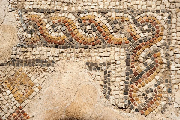 Bir Antik Döşeme Mozaiği Caesaria Parçası Srail — Stok fotoğraf