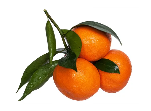 Maturare Mandarini Freschi Sfondo Bianco — Foto Stock