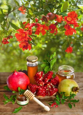 Olgun nar ve bal Rosh Hashanah için - Yahudi bayramı.