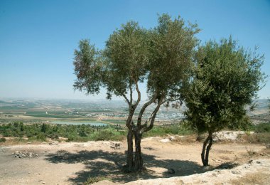 Ayalon-Kanada Parkı 'ndan görüntü. İsrail.
