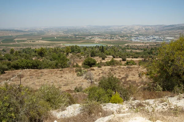 Ayalon Canada Parkからの眺め イスラエル — ストック写真