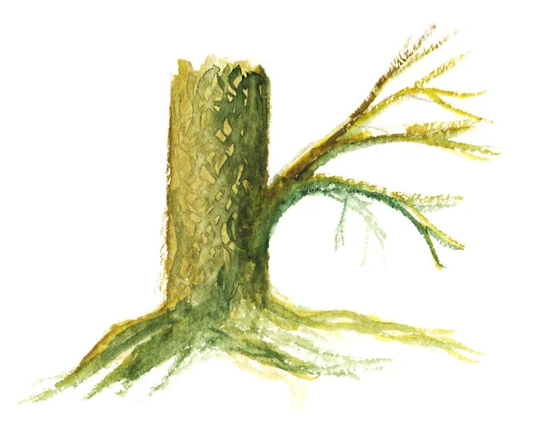 Стовбур дерева з коренями — стокове фото