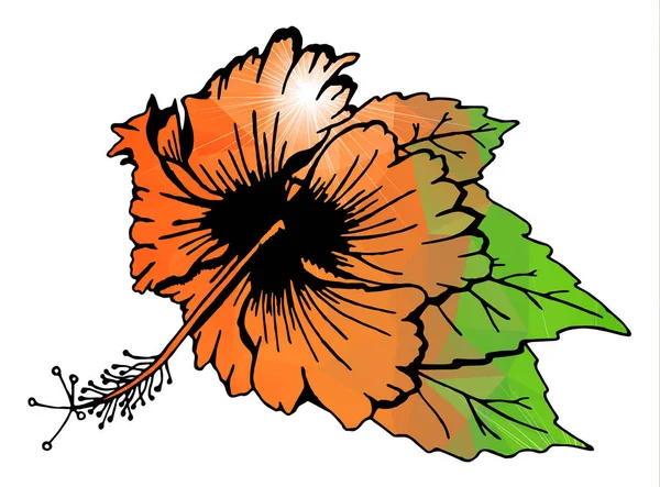 Λουλούδι ιβίσκου με φύλλα — Διανυσματικό Αρχείο