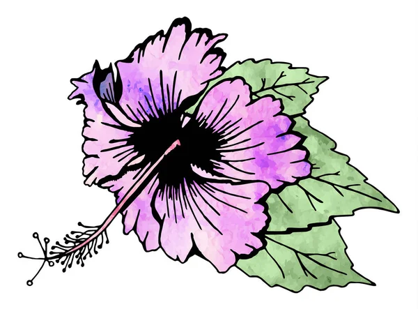 Квітка гібіскуса з листям — стоковий вектор