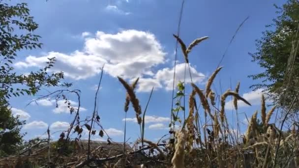 Versneld Filmen Van Drijvende Wolken — Stockvideo