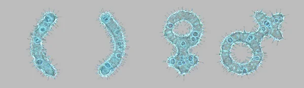 Alphabet made of virus isolated on gray background. Symbol left and right parentheses, male, female. 3d rendering. Covid font