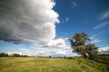 Yolun büyük bir ağaç arka plan üzerinde güzel bir gökyüzü ile Nehri boyunca