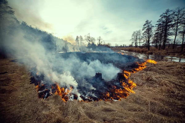 Lesní Požár Louka Pravém Břehu Řeky Uzh Okres Korostensky Ukrajina — Stock fotografie