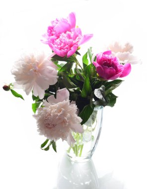 Pembe ve beyaz peonies beyaz arka plan üzerinde izole cam vazoda çiçek kompozisyon