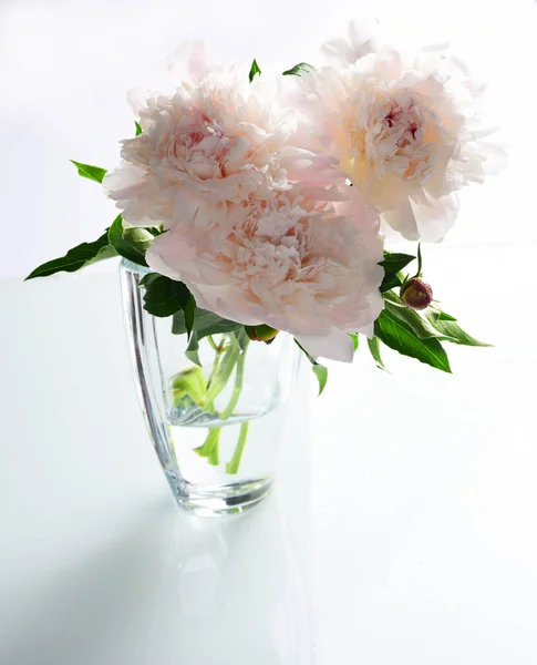 Floral Composition White Peonies Glass Vase Isolated White Background — Stock Photo, Image