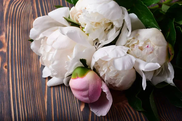 Macro Shot Peonies Wooden Background — Stock Photo, Image