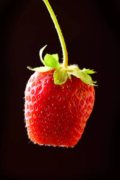 Composition Red Strawberry Black Background — Stock Photo, Image