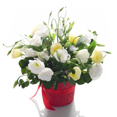 Beyaz arka plan üzerinde izole kırmızı kova içinde beyaz ve sarı eustomas çiçek kompozisyon
