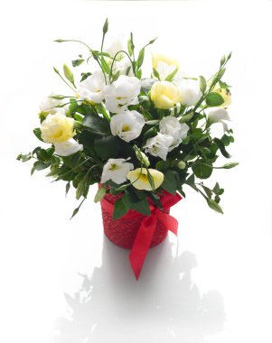 Beyaz arka plan üzerinde izole kırmızı kova içinde beyaz ve sarı eustomas çiçek kompozisyon