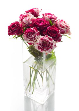 Taze cam vazoda beyaz arka plan üzerinde izole rengarenk pembe gül buketi