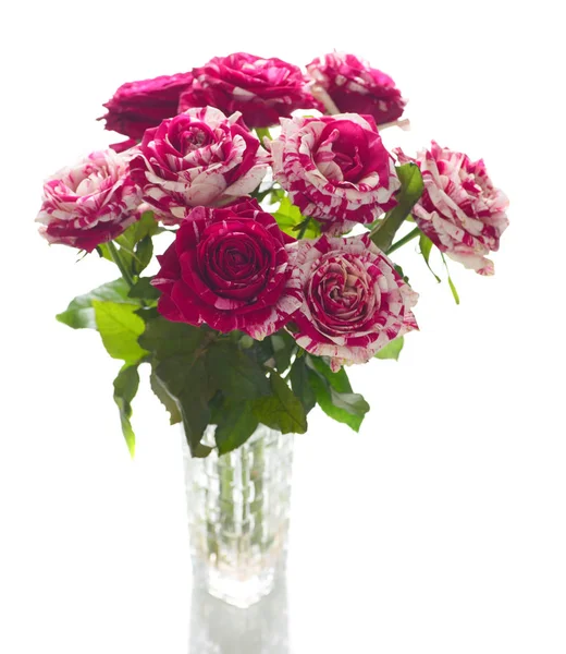 Свіжий Букет Рожевих Троянд Скляній Вазі Ізольований Білому Тлі — стокове фото