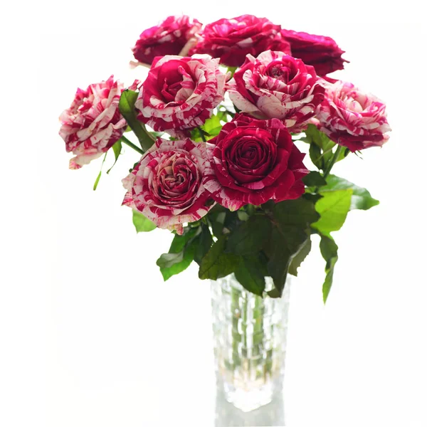 Свіжий Букет Рожевих Троянд Скляній Вазі Ізольований Білому Тлі — стокове фото