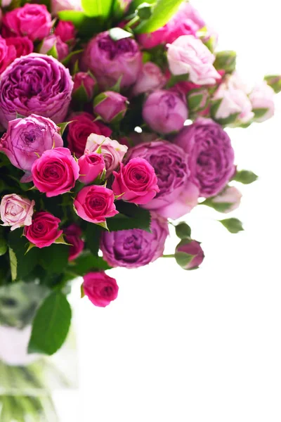 Детальний Вид Яскраво Рожеві Троянди Ізольовані Білому Тлі — стокове фото