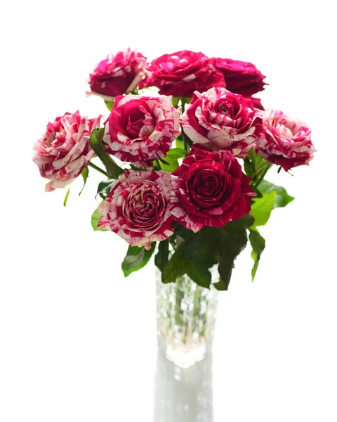 白色背景的玻璃花瓶里的五颜六色的粉红色玫瑰的新鲜花束 免版税图库图片