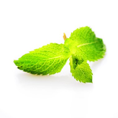 yeşil nane yaprakları beyaz arkaplanda izole