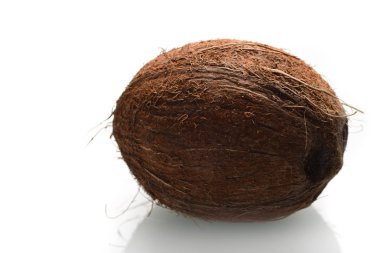 Beyaz arkaplanda tüm hindistan cevizi izole