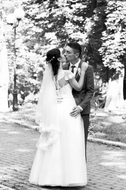 Tek renkli görünüm açık öpüşme düğün çift