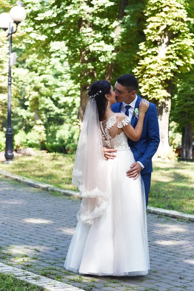 Vista Completa Encantadora Pareja Boda Abrazándose Besándose Parque —  Fotos de Stock