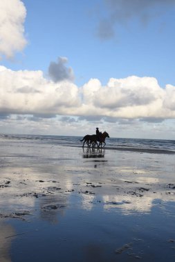 Muhteşem sahil sabah Deauville, Fransa.