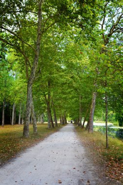 Boş sokak ile Park